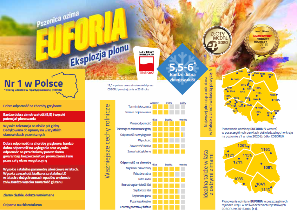 euforia1